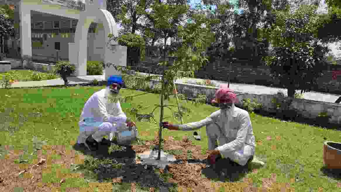 ਡਾਕਟਰ ਬੀਰ ਪ੍ਰਤਾਪ ਸਿੰਘ ਗਿੱਲ ਨੇ ਬੂਟਾ ਲਗਾ ਕੇ ਮਨਾਇਆ ਆਪਣਾ ਜਨਮ ਦਿਨ; ਵਾਤਾਵਰਣ ਸੰਭਾਲ ਦਾ ਦਿੱਤਾ ਅਹਿਮ ਸੁਨੇਹਾ